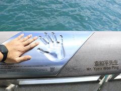 -星光大道