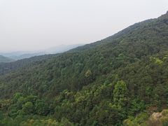 -铁山坪森林公园