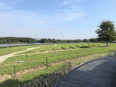 -海珠湖公园