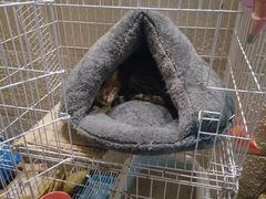 -逃脱反斗城沉浸剧情密室(北京路店)