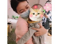 -七田真体验中心(徐东群星城中心)