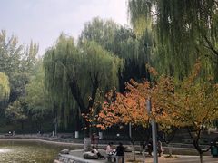 -西安市长乐公园