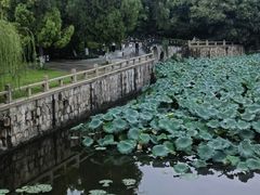 -水绘园