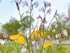 -永定河休闲森林公园