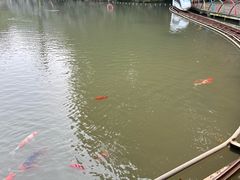 -陶祖圣境风景区