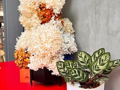 -微焙咖啡工厂(海峡创意产业园·红坊店)