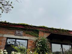 -Bamboo Today Cafe(国创园店)