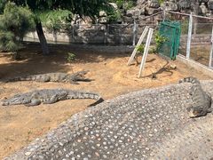 -石家庄市动物园