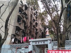 -南山植物园