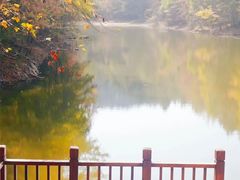 -青龙山国家森林公园