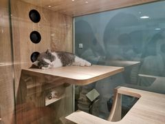 -BABIT巴比特宠物(MOMOPARK店)