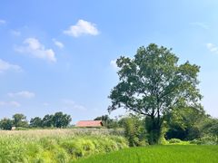 -良渚古城遗址公园