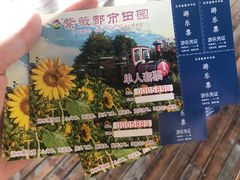 -武汉紫薇都市田园