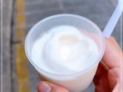 -洪馨椰子