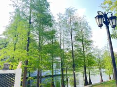 -广州市白云山风景名胜区