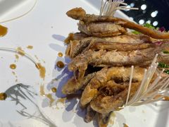 -赵小姐丨新中餐(曲江店)