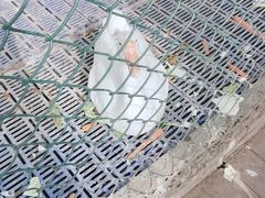 -北京鹿世界主题园