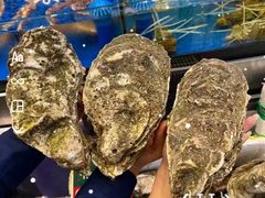 -飞尝蚝·顺德菜·鱼生(顺德总店)