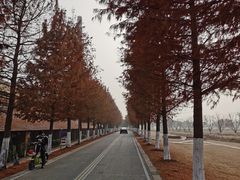 -祝甸砖窑文化馆