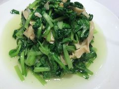 -新吉士·上海菜(浦东LCM置汇旭辉店)