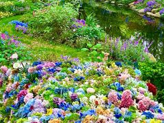 -上海共青森林公园