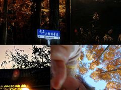 -南京市无想山景区