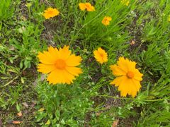 -宁波阳光豪生大酒店·豪生咖啡厅