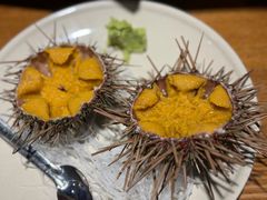 海胆-桂马·日本料理·海胆·海鲜饭·酒场(民主广场店)