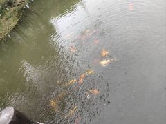 -八卦田遗址公园