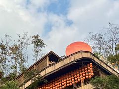 -伴山茶苑·围炉煮茶