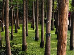 -云龙湖旅游景区