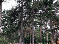 -黑龙江省森林植物园