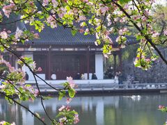 -莫愁湖公园