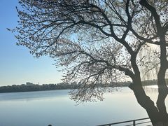 -长春市南湖公园