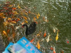 -泰安地下龙宫景区
