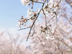-长田漾湿地公园