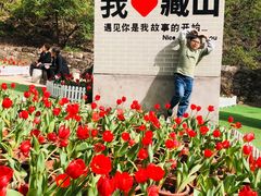 -藏山旅游风景区
