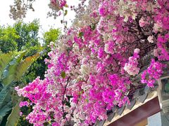 -深圳国际园林花卉博览园