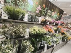 -鹿岛生活(熙地港店)