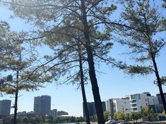 -美兰湖景区