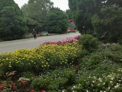 -北陵公园