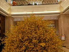 -天宇菲尔德·花园西餐厅·海鲜自助餐