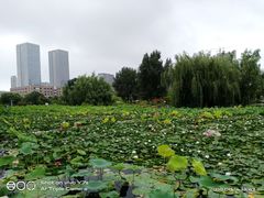 -大连理工大学(凌水校区)