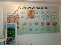 -宜肤清颜专业祛痘问题肌修护