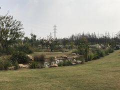 -上海长兴岛郊野公园