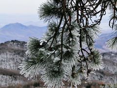 -沂蒙山旅游区云蒙景区(蒙山国家森林公园)