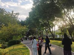 -云溪植物园