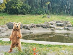 -宁波野生动物园