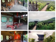 -大唐贡茶院
