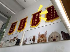 -爱侣宠医·鹦鹉专科·小型哺乳类·异宠专科(灵石路店)